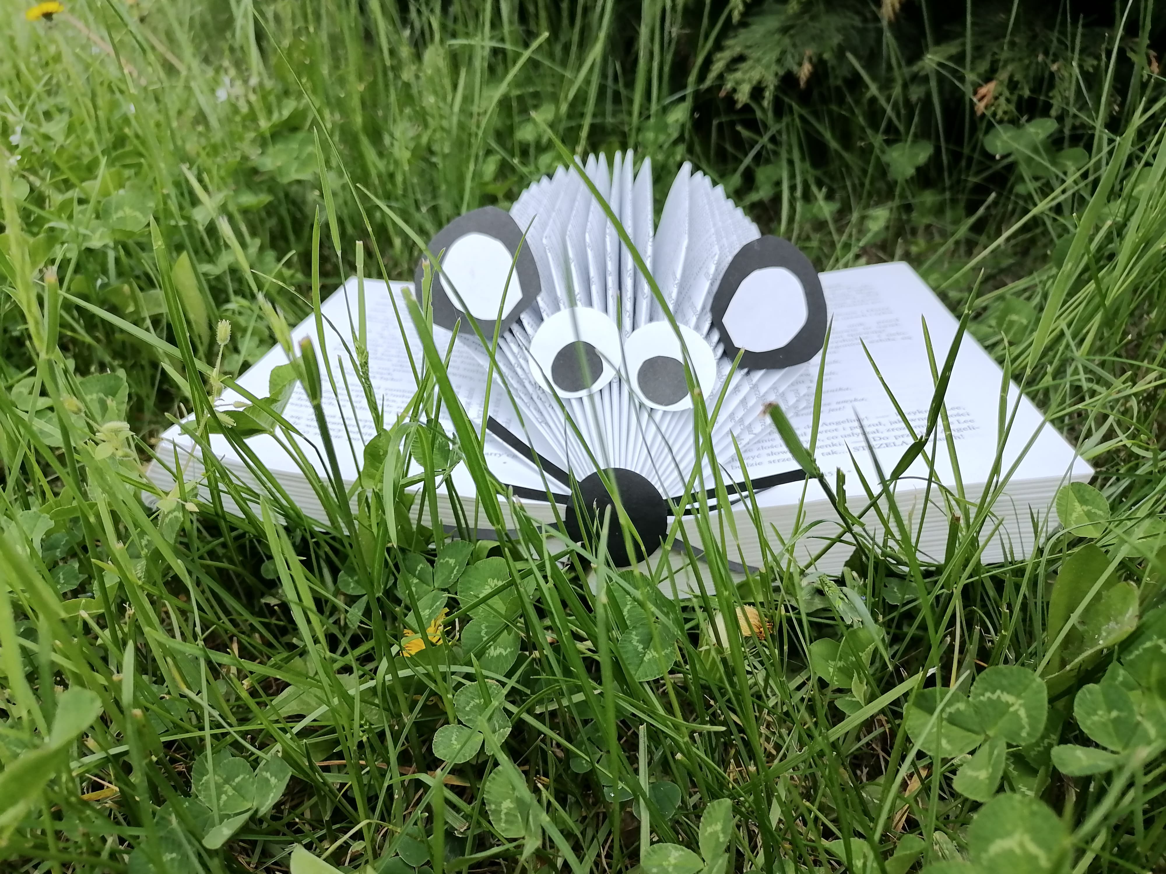 Zdjęcie myszy zrobionej z książki położonej na trawie