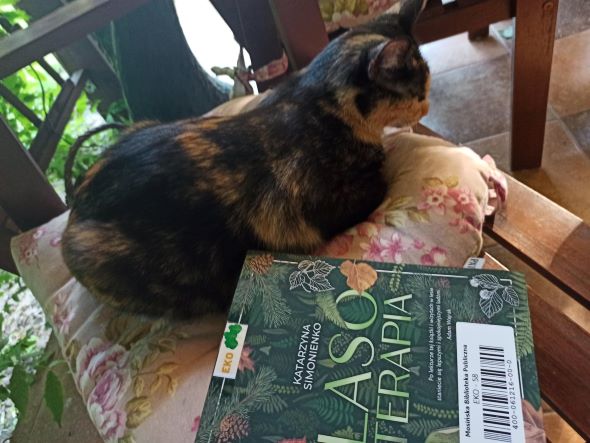 kot leżący na poduszce, obok książki z tytułem &quot;Lasoterapia&quot;